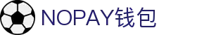 NOPAY钱包 - 数字钱包支付平台|安全便捷的移动支付